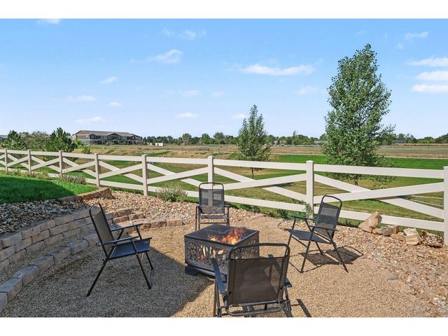 7467 Horsechestnut St, Wellington, CO 80549
