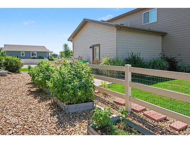 7467 Horsechestnut St, Wellington, CO 80549