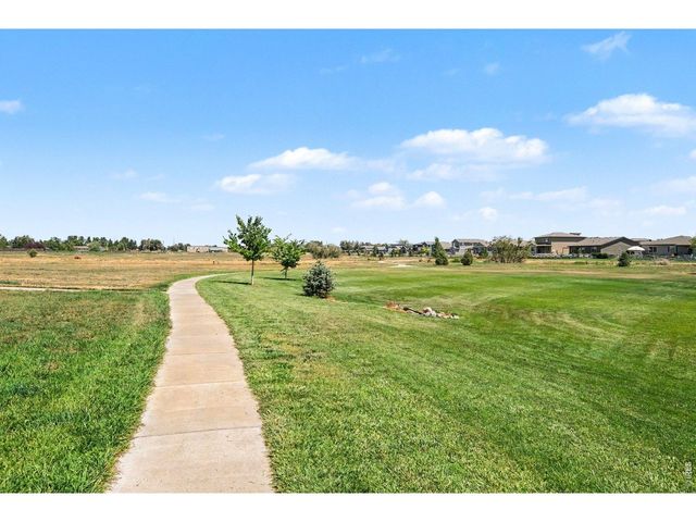 7467 Horsechestnut St, Wellington, CO 80549