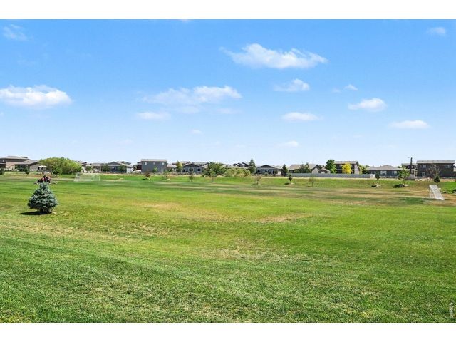 7467 Horsechestnut St, Wellington, CO 80549
