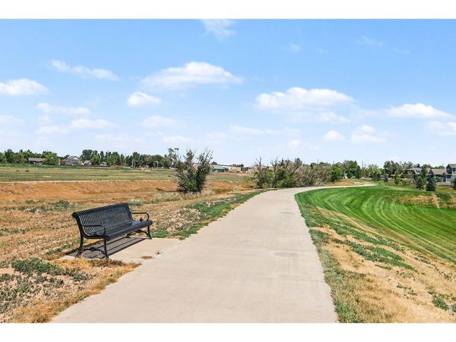 7467 Horsechestnut St, Wellington, CO 80549