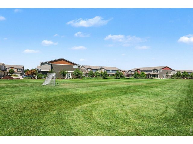 7467 Horsechestnut St, Wellington, CO 80549
