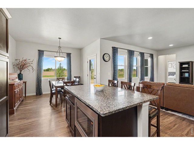 7467 Horsechestnut St, Wellington, CO 80549