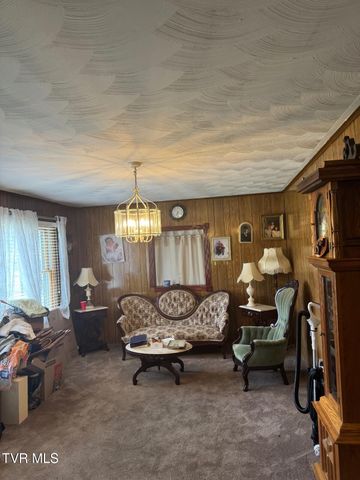 250 Valley View, Lebanon, VA 24266