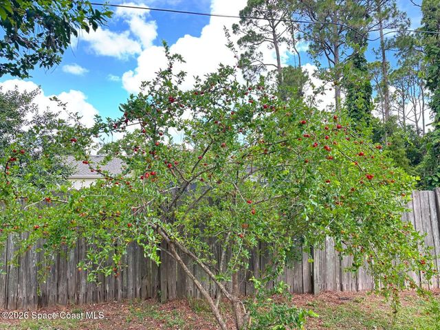 6398 Cable Avenue, Cocoa, FL 32927