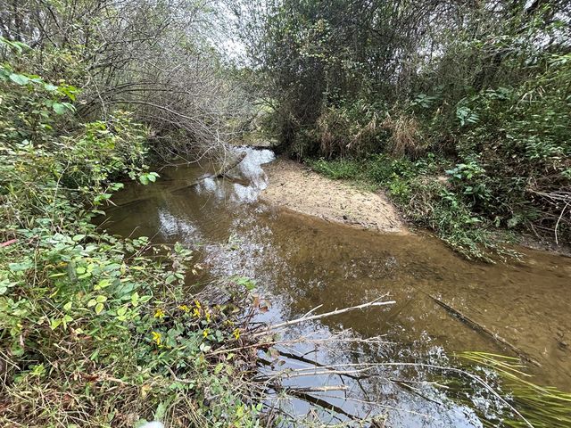 445 Twin Creeks Road, Blue Ridge, GA 30513