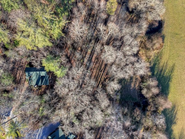 445 Twin Creeks Road, Blue Ridge, GA 30513