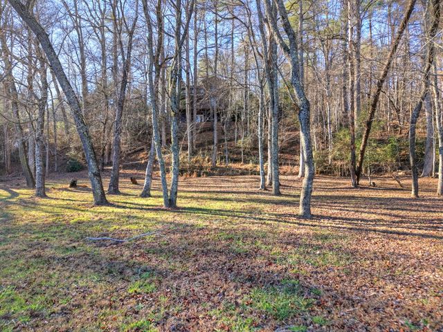 445 Twin Creeks Road, Blue Ridge, GA 30513