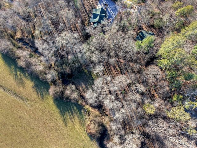 445 Twin Creeks Road, Blue Ridge, GA 30513