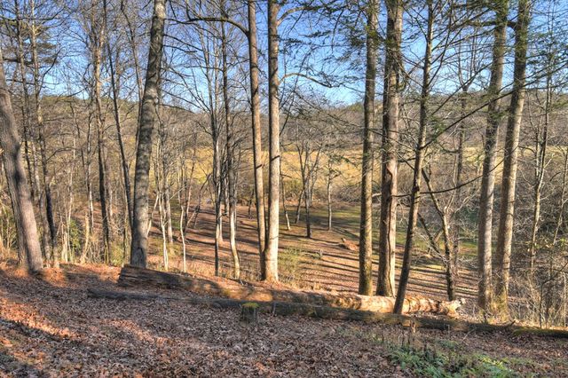 445 Twin Creeks Road, Blue Ridge, GA 30513