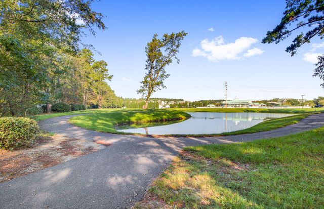 302 Hydrangea Street, Summerville, SC 29483