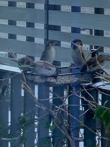 1212 Laurel St Apt 502, Nashville, TN 37203