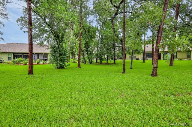 6591 Brambleleaf Drive, Spring Hill, FL 34606
