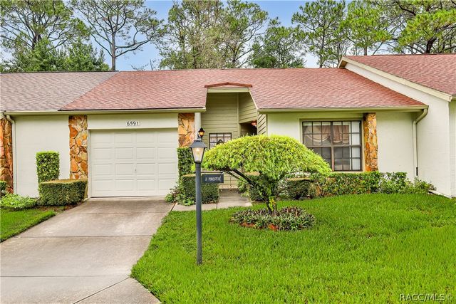 6591 Brambleleaf Drive, Spring Hill, FL 34606