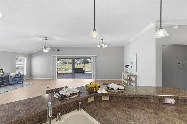 1595 GOLDEN RIDGE DRIVE, The Villages, FL 32162