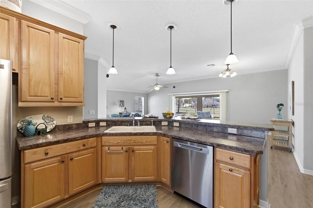 1595 GOLDEN RIDGE DRIVE, The Villages, FL 32162