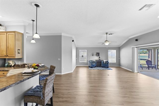 1595 GOLDEN RIDGE DRIVE, The Villages, FL 32162