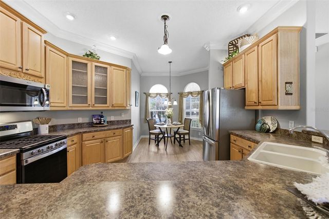 1595 GOLDEN RIDGE DRIVE, The Villages, FL 32162