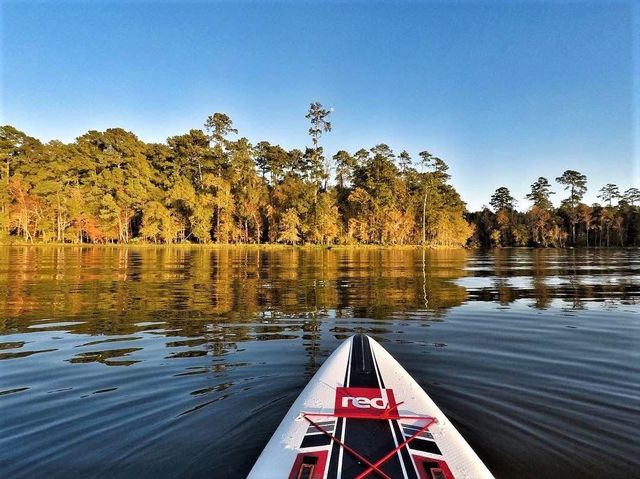 1430 Natural Pine Trail, Conroe, TX 77301