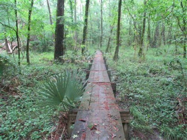 1430 Natural Pine Trail, Conroe, TX 77301