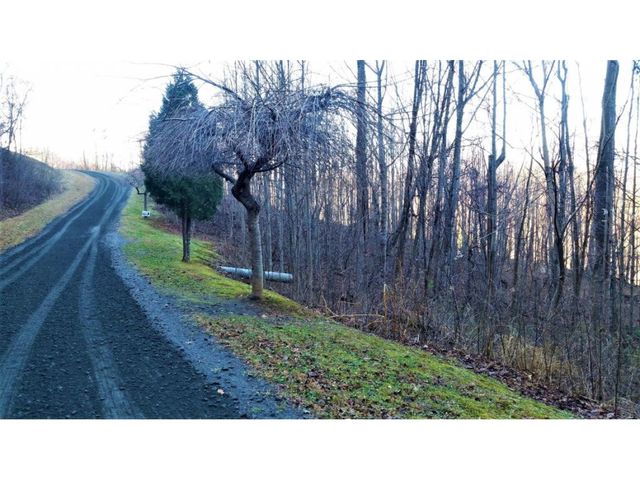 11 Roan Springs Lane, Roan Mountain, TN 37687