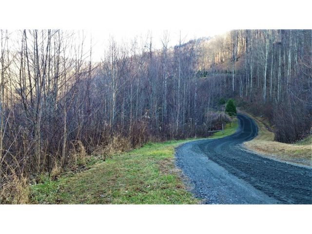 11 Roan Springs Lane, Roan Mountain, TN 37687