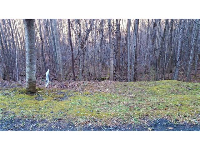 11 Roan Springs Lane, Roan Mountain, TN 37687