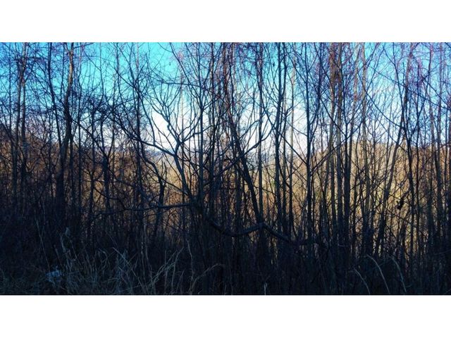 11 Roan Springs Lane, Roan Mountain, TN 37687