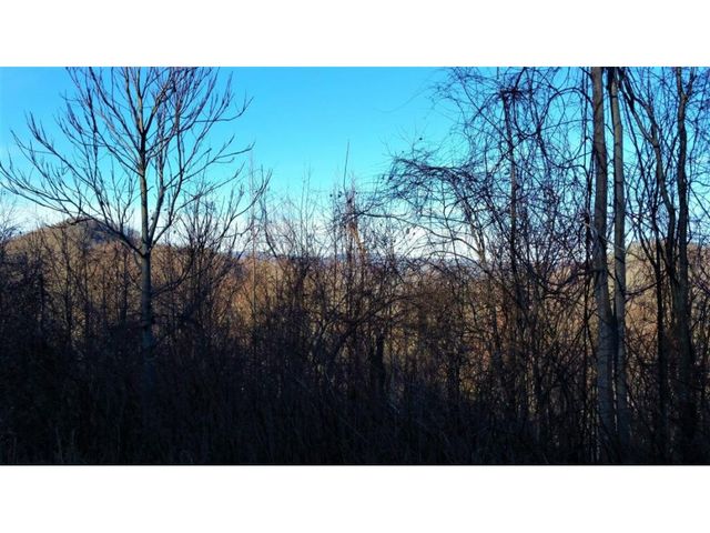 11 Roan Springs Lane, Roan Mountain, TN 37687