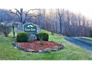 11 Roan Springs Lane, Roan Mountain, TN 37687