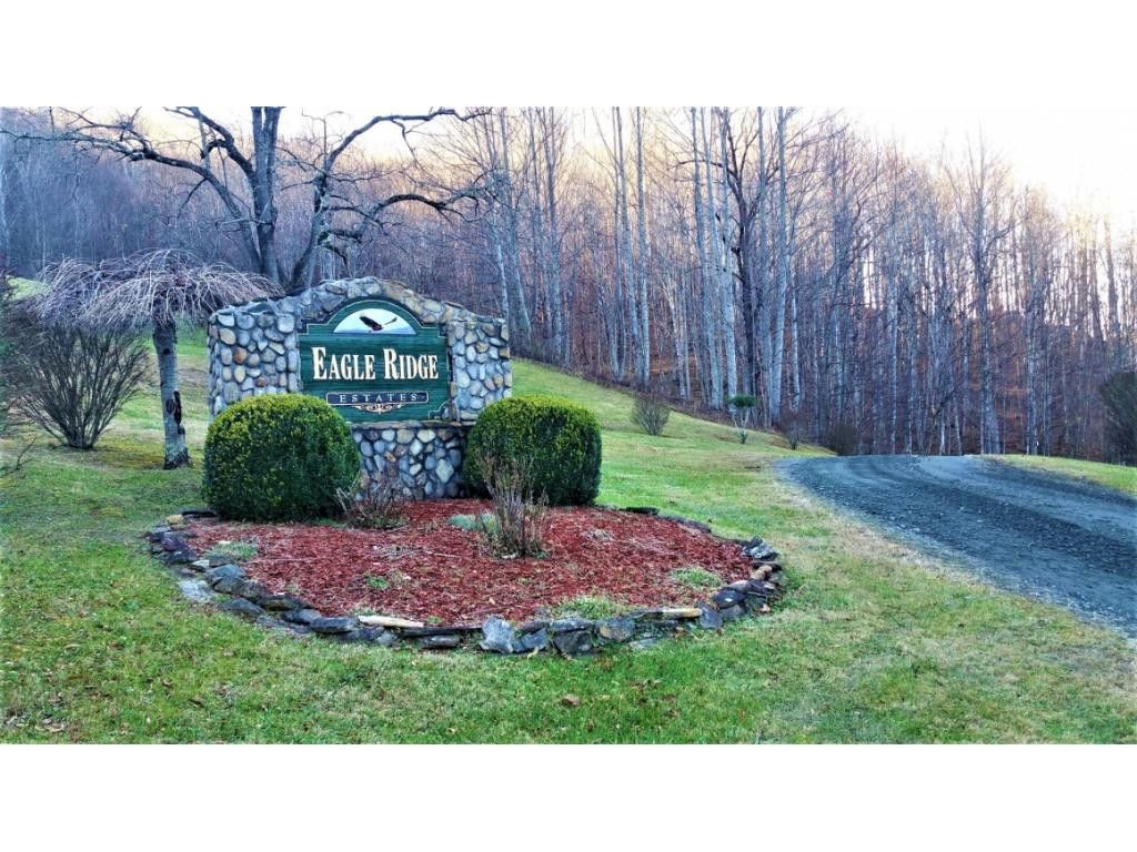 11 Roan Springs Lane, Roan Mountain, TN 37687