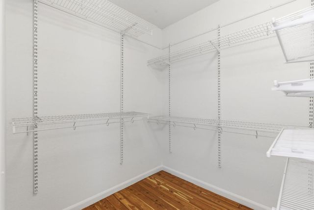 1733 Cheney Drive, San Jose, CA 95128