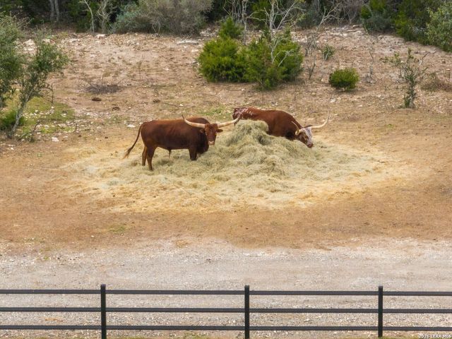 298 Table Rock, Helotes, TX 78023