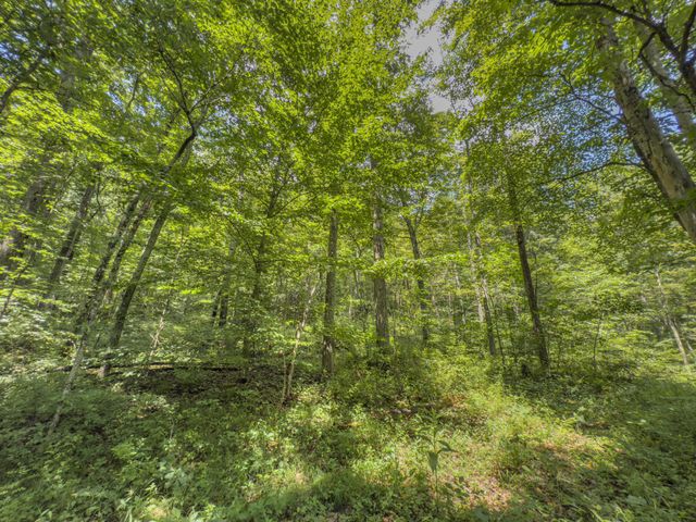 0 Sowers Road, Mcarthur, OH 45651