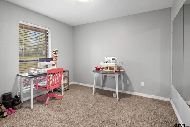 321 US HWY 67 W, Mt Vernon, TX 75457