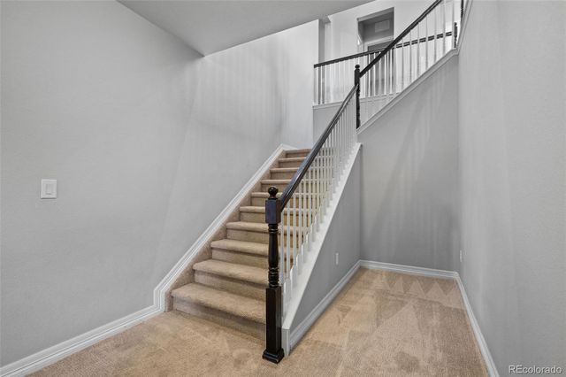 10061 Blue Blood Place, Littleton, CO 80125