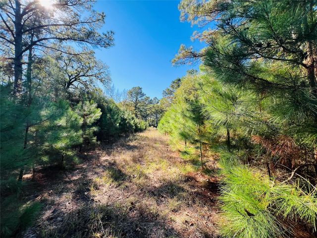 Lot 14 County Road 114, Centerville, TX 75833