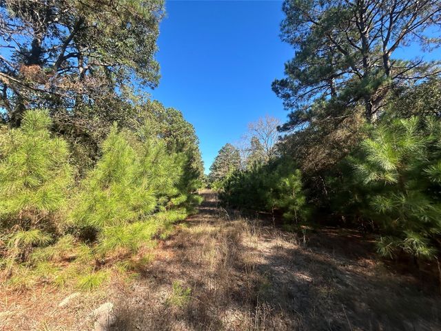 Lot 14 County Road 114, Centerville, TX 75833