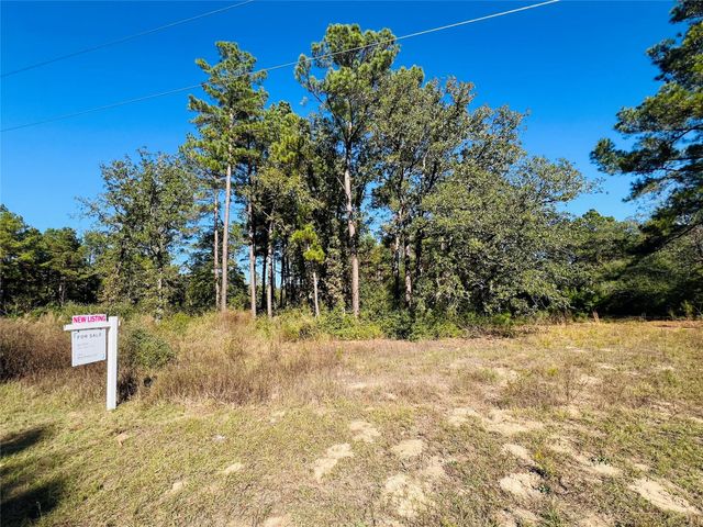 Lot 14 County Road 114, Centerville, TX 75833