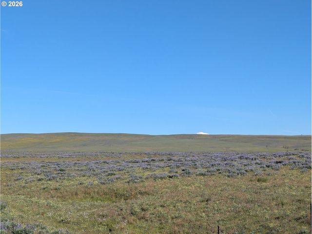 905 Randall Rd Lot 1, Centerville, WA 98613