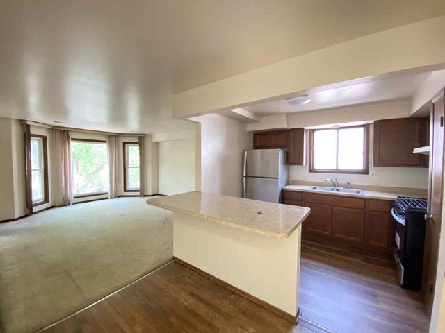 919 S Carpenter Street 3N, Chicago, IL 60607