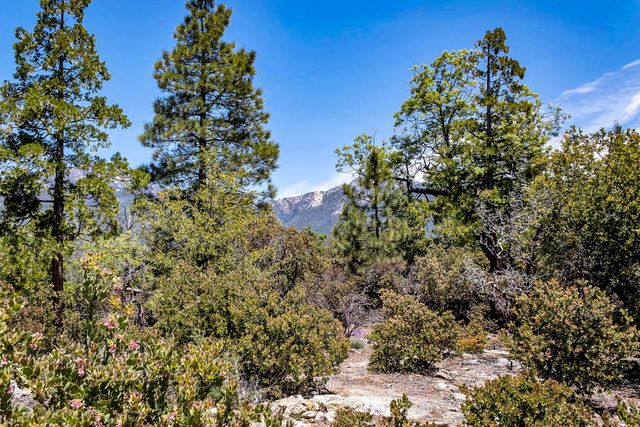 53021 Inspiration Lane, Idyllwild, CA 92549