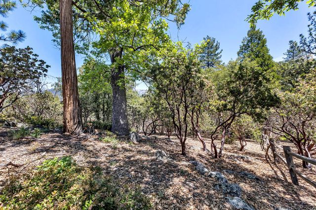 53021 Inspiration Lane, Idyllwild, CA 92549
