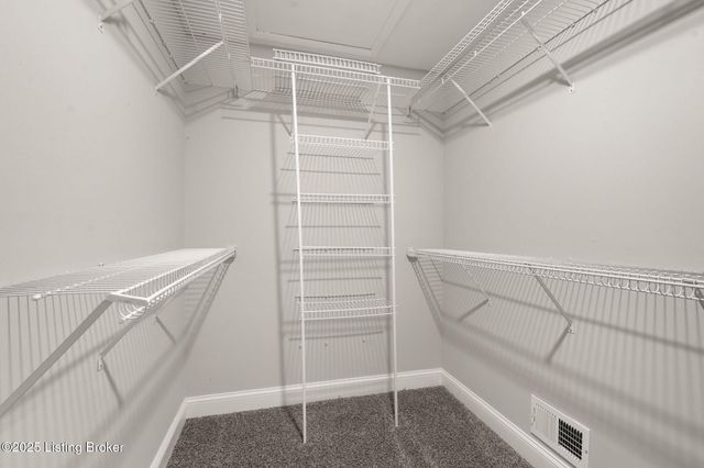 3703 Trail Ridge Rd, Louisville, KY 40241