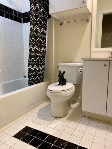 823 Robin Street, Houston, TX 77019