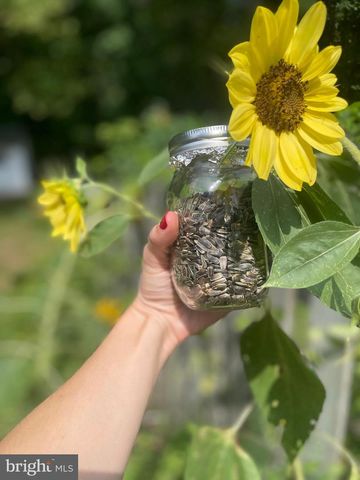 128 THERESA DR, Stafford, VA 22554