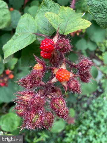 128 THERESA DR, Stafford, VA 22554