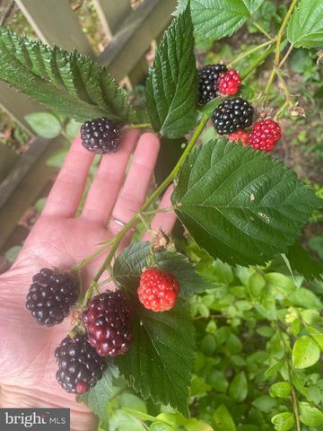 128 THERESA DR, Stafford, VA 22554