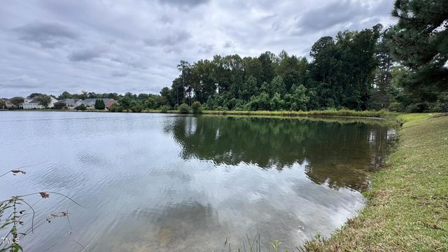 8901 Buffalo Gourd Lane, Angier, NC 27501