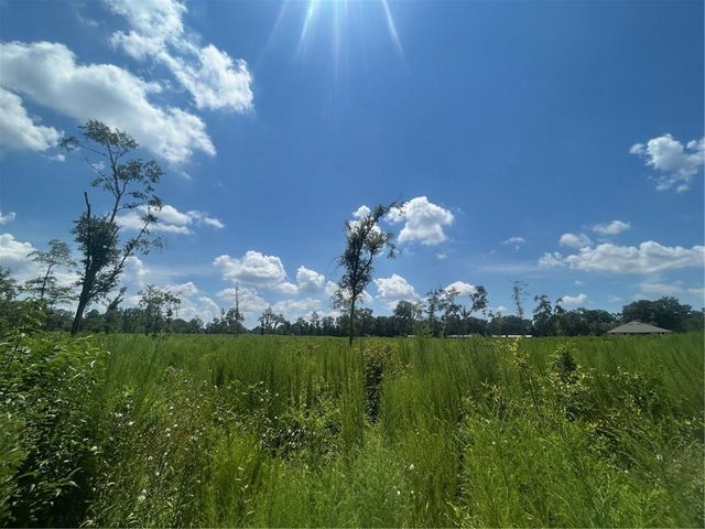 0 Creel Road, Theodore, AL 36582
